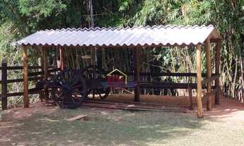 Imagem 4: Sítio com 3 dormitórios à venda, 10000 m² por R$ 702.000,00 - Jardim Sandra Maria - Taubat