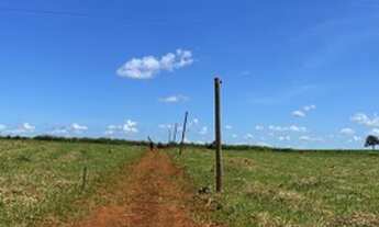 Imagem 6: Chácaras de 2 mil Mt há 10 km de guapo 20 de trindade