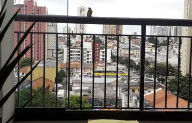 Imagem 7: Apartamento Pronto para Morar! Ipiranga 69m²
