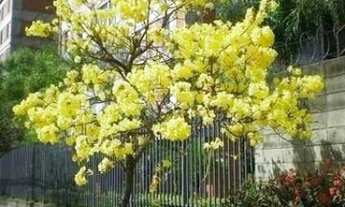 Imagem 5: Apto 75m² Condomínio Próximo do Metro Campo Limpo Zoa Sul SP