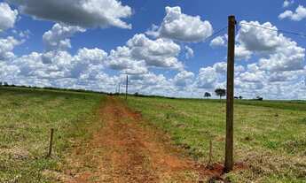 Imagem 3: Chacara a 20 km de trindade a 10 do guapo 5 km de santa maria 1000 m chacaras com energia