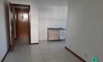 Imagem 4: PALHOçA - Padrão - Bela Vista