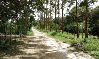 Imagem 3: Terreno Em Catu - Sitio Novo