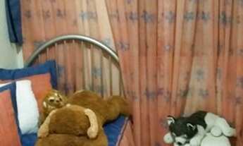 Imagem 4: Apartamento com 2 Quartos à Venda, 48 m² por R$ 250.000