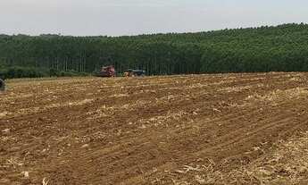 Imagem 5: FAZENDA TOP PRODUTIVA, DIRETO COM O PROPRIETÁRIO, ÓTIMO INVESTIMENTO!!!