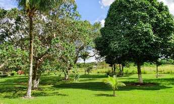 Imagem 2: Sitio na localidade de Murutuba, proximidades do Município de Cachoeira, 7 tarefas