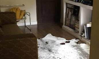 Imagem 6: Sobrado residencial à venda, Campo Grande, São Paulo