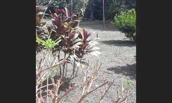 Imagem 6: VENDO SÍTIO NA BR174- KM16