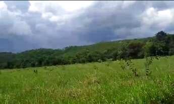 Imagem 4: Oportunidade! Excelente fazenda de 350 Alqueires