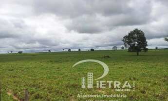 Imagem 7: Fazenda/Sítio/Chácara para venda possui 118030000 metros quadrados em Zona Rural - Juína