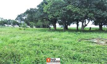 Imagem 4: Chácara de 10 tarefas COLÔNIA TREZE - Centro