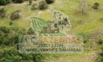 Imagem 5: Fazenda em Jeremoabo