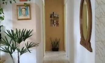 Imagem 5: Vale do Cotinguiba 57999