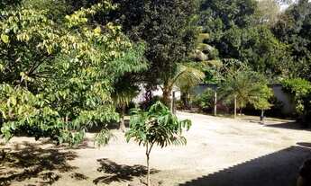 Imagem 5: Ótima casa com 1000m² de quintal!