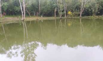 Imagem 1: Chácara sitio Chácara com venda por R$1