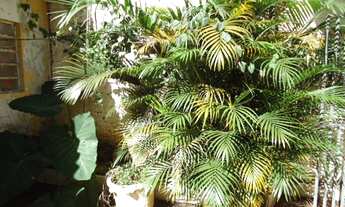 Imagem 7: Quarto Suite Centro Praça Civica Goiânia Setor Central Correios