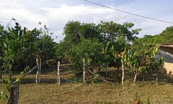 Imagem: Vendo terreno 15×50 ou troco por casa no