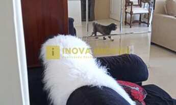 Imagem 7: Apartamento - Parque Prado - Campinas