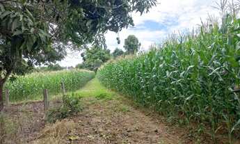 Imagem 2: VENDO PARCELADO COM ENTRADA + PARCELAS NO BOLETO