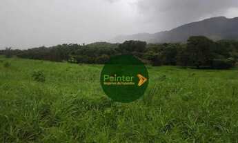 Imagem 7: Fazenda à venda, 522 hectares por R$ 10.800.000 - Zona Rural - Niquelândia/GO