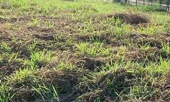 Imagem 3: Oportunidade ! Terrenos no Pedra Branca