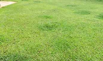 Imagem 4: DB- Vendo Terreno com 2 km do asfalto