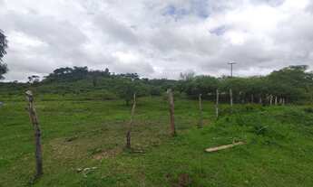 Imagem 5: Vendo excelente fazenda em aldeias-MA