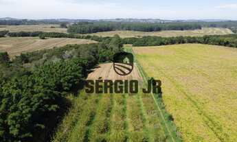 Imagem 7: Sítio com 7,5h, casa, galpão, açudes em Guaíba - Aceito troca por casa na praia