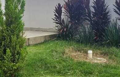 Imagem 2: O escritório imobiliário Antônio Borges disponibiliza uma linda casa