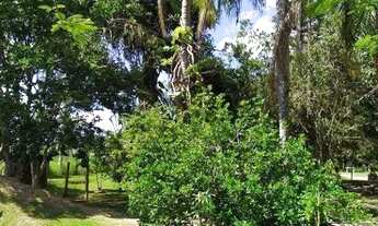 Imagem 6: Belíssimo sítio com 20094 m² em Ratones - Florianópolis/SC