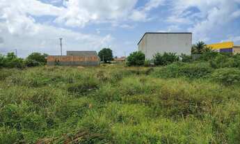 Imagem 6: ótimo terreno praia do abais