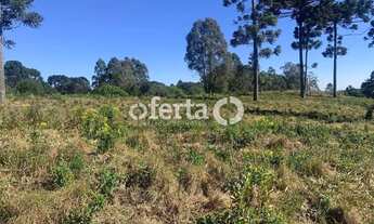 Imagem 5: Terreno no Costeira / Araucária - 23.222m2