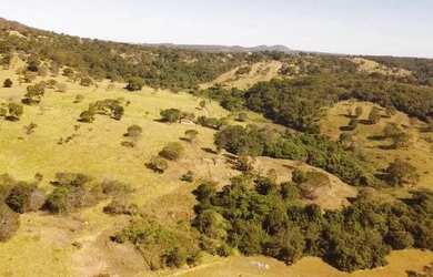 Imagem 3: Chácara 7.97 alqueires (38,57 hectares) Cromínia - GO