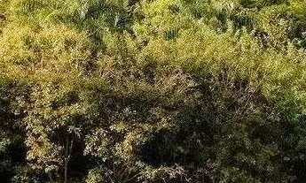 Imagem 2: Vendo terreno no Condomínio Vale dos Jardins