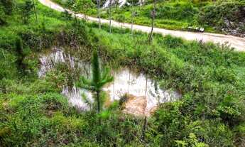 Imagem 6: Seu sítio com casa, córrego e lago, na região de Castelinho, Varge alta