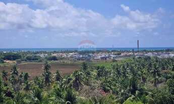 Imagem 4: TERRENO, FAZENDA, CHÁCARA, SÍTIO, ÁREA À VENDA NA BARRA DE SÃO MIGUEL COM 65.000,00m2 COM