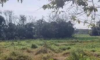 Imagem 6: Velleda oferece lindo sítio 1 hectare em condomínio fechado, centro de Águas Claras