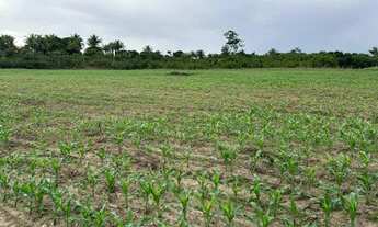 Imagem 4: Fazenda, propriedade, sitio, chácara, terreno, área territorial