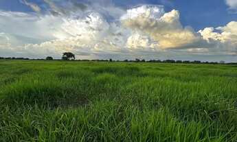 Imagem: Excelente Fazenda a Venda - Aruanã - GO