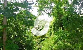 Imagem 7: Terreno à venda, 825 m² por R$ 150.000,00 - Pendotiba - Niterói/RJ