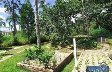 Imagem 7: Belíssimo sítio com 20094 m² em Ratones - Florianópolis/SC