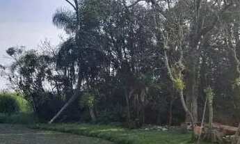 Imagem 4: Velleda oferece lindo sítio 1 hectare em condomínio fechado, centro de Águas Claras