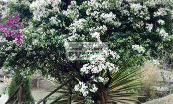 Imagem: TR_Imóvel a venda possui 200 metros quadrados