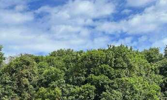 Imagem 3: Um dos melhores lotes do Jardins Veneza com mais de 1000m²