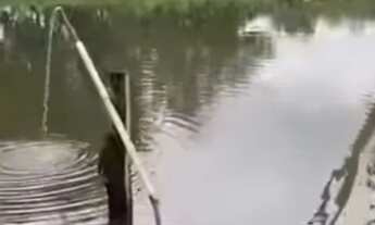 Imagem 6: Sítio próximo campina verde