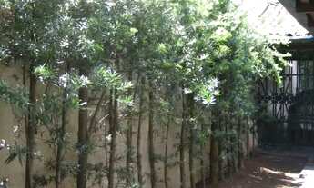 Imagem 10: COMERCIAL - JARDIM PAULISTANO - SP