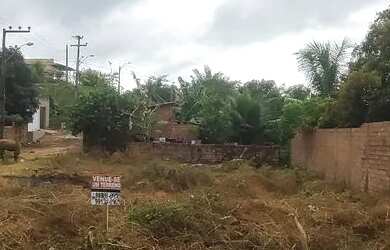 Imagem 3: Vendo terreno no tajaçuaba zona rural de são Luís MA