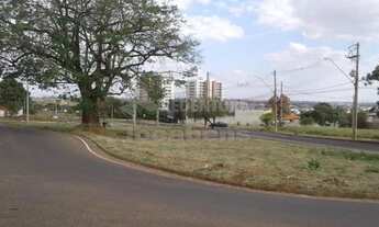 Imagem 6: Área remanescente em frente Rotatória do Bianco x Vista Bela, podendo vender a área inteir