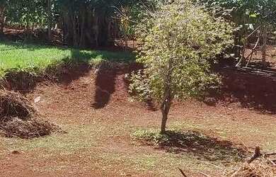 Imagem 7: Chácara com casa e piscina em Bonfinópolis