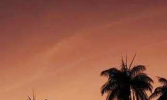 Imagem 4: Vendo terreno no Condomínio Vale dos Jardins